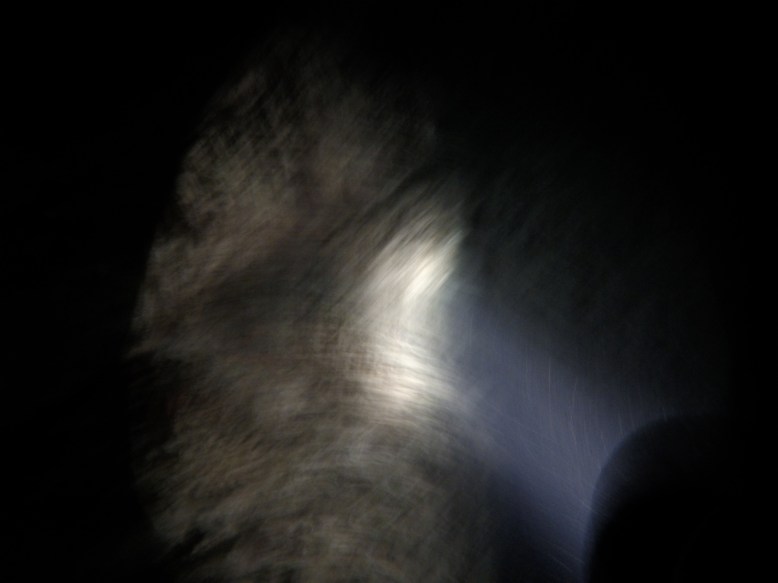 DCIM100GOPROGOPR0541.