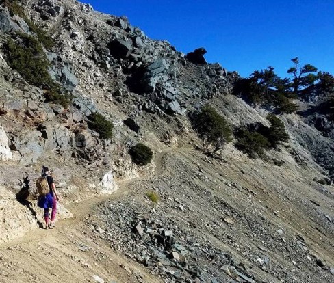 14232380_10102592959240697_7471666880056679592_n