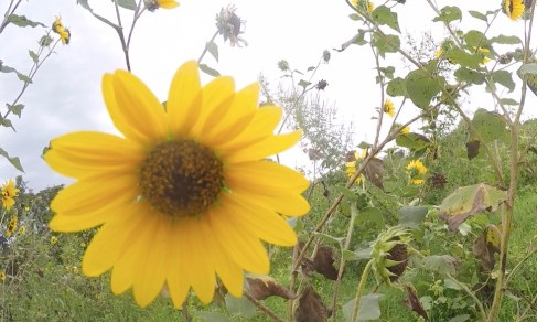 screen-shot-2016-09-13-at-11-45-27-am