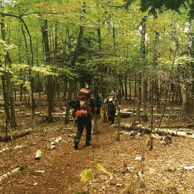 14469643_573355412873645_1510900852363627834_n