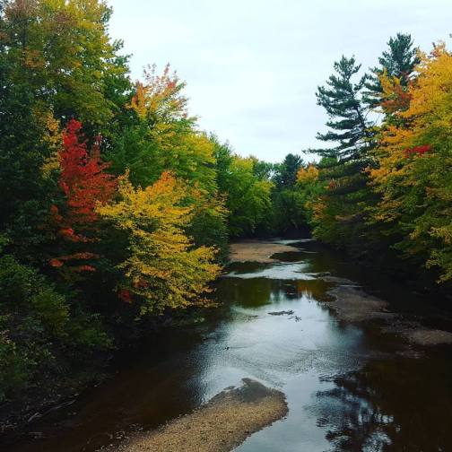 14470584_1840182746268743_6460584419103397329_n