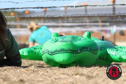 5817aeb6260b568411084b3d