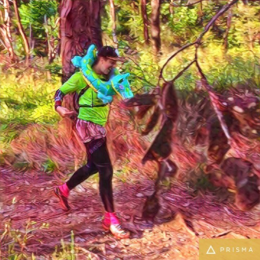 img_20161129_115427_processed