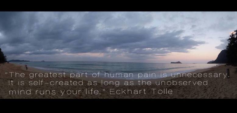 12973337_10153441728935825_3413940284032857270_o