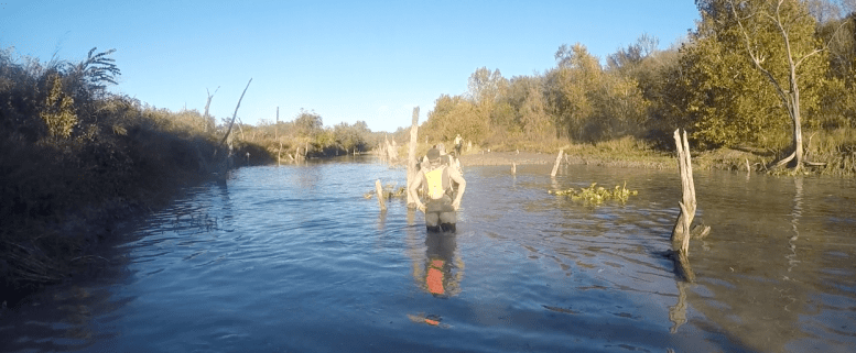 Screen Shot 2017-10-31 at 8.18.40 pm.png